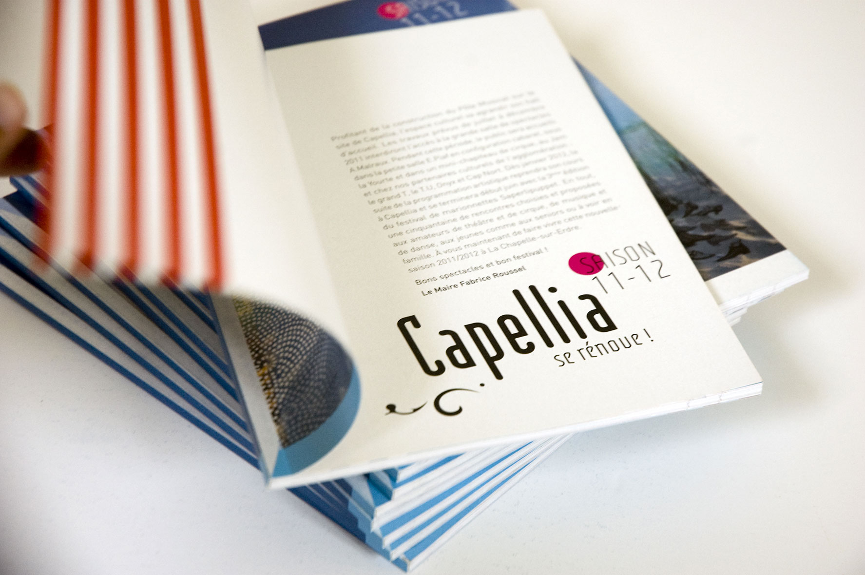 communication-culturelle-programme-edito-capellia-Alcali-Nathalie-Mineau-DA-design-graphique-Nantes