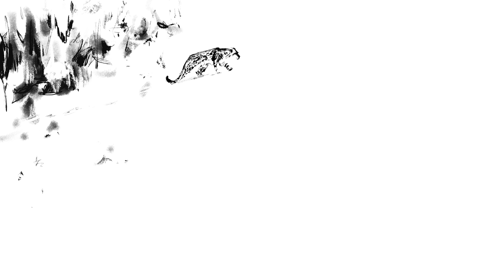 illustration-panthere-des-neiges-tibet-nathalie-mineau